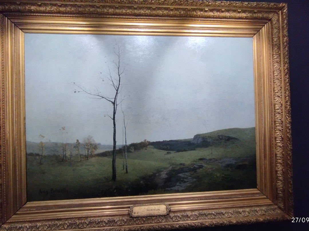 Musee des Beaux-Arts de Dole-多勒必去景点