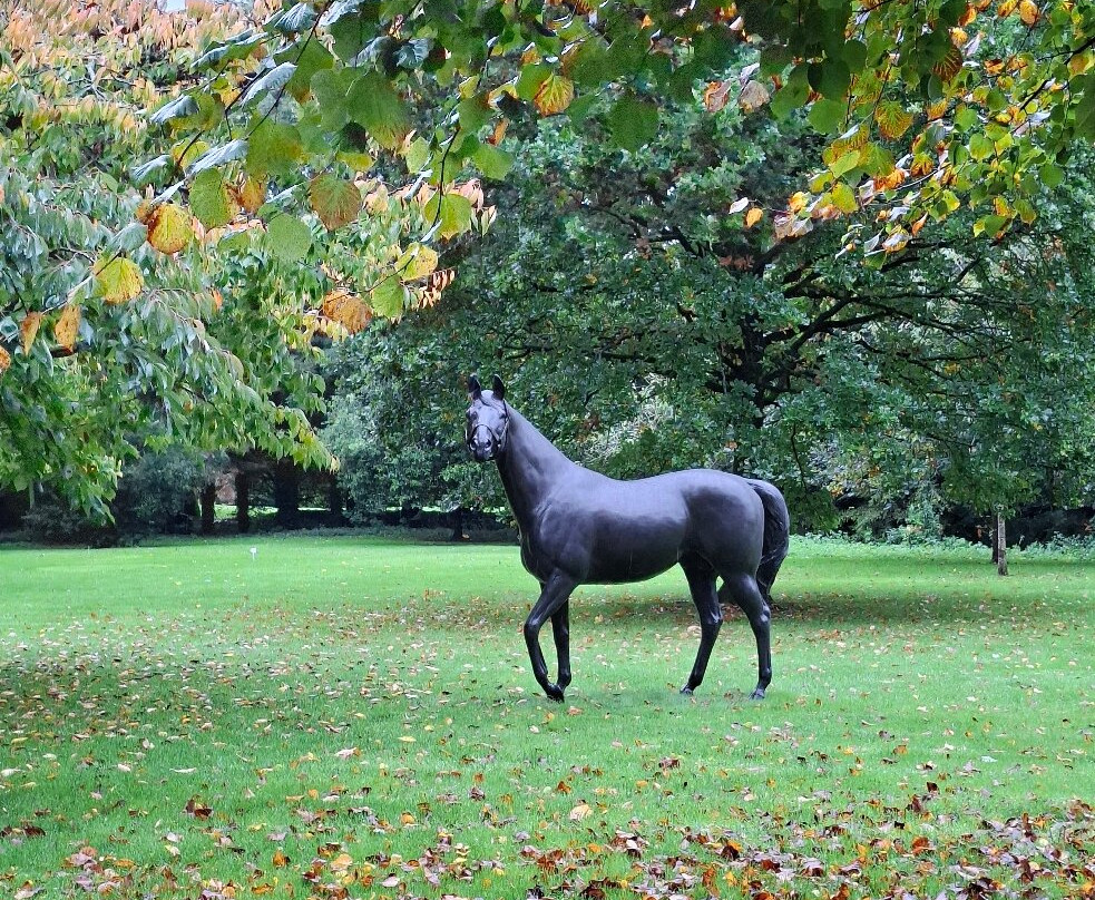 Fethard Horse Country Experience-Fethard必去景点
