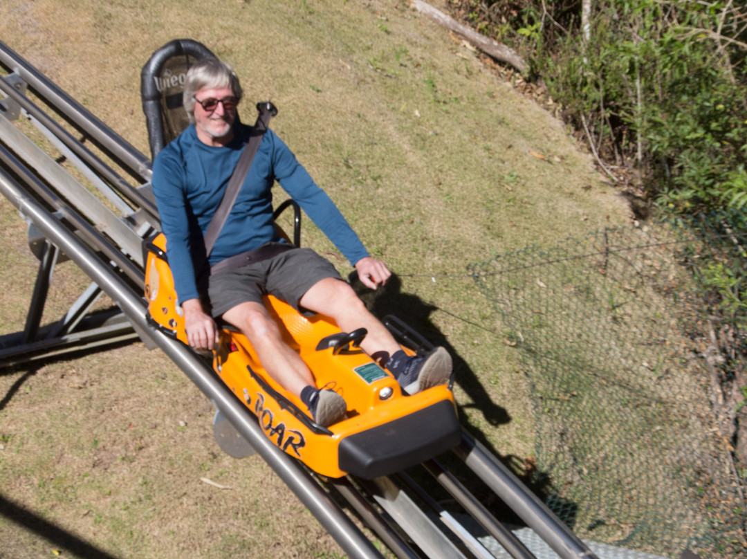Parque Capivari-坎普斯－杜若尔当必去景点