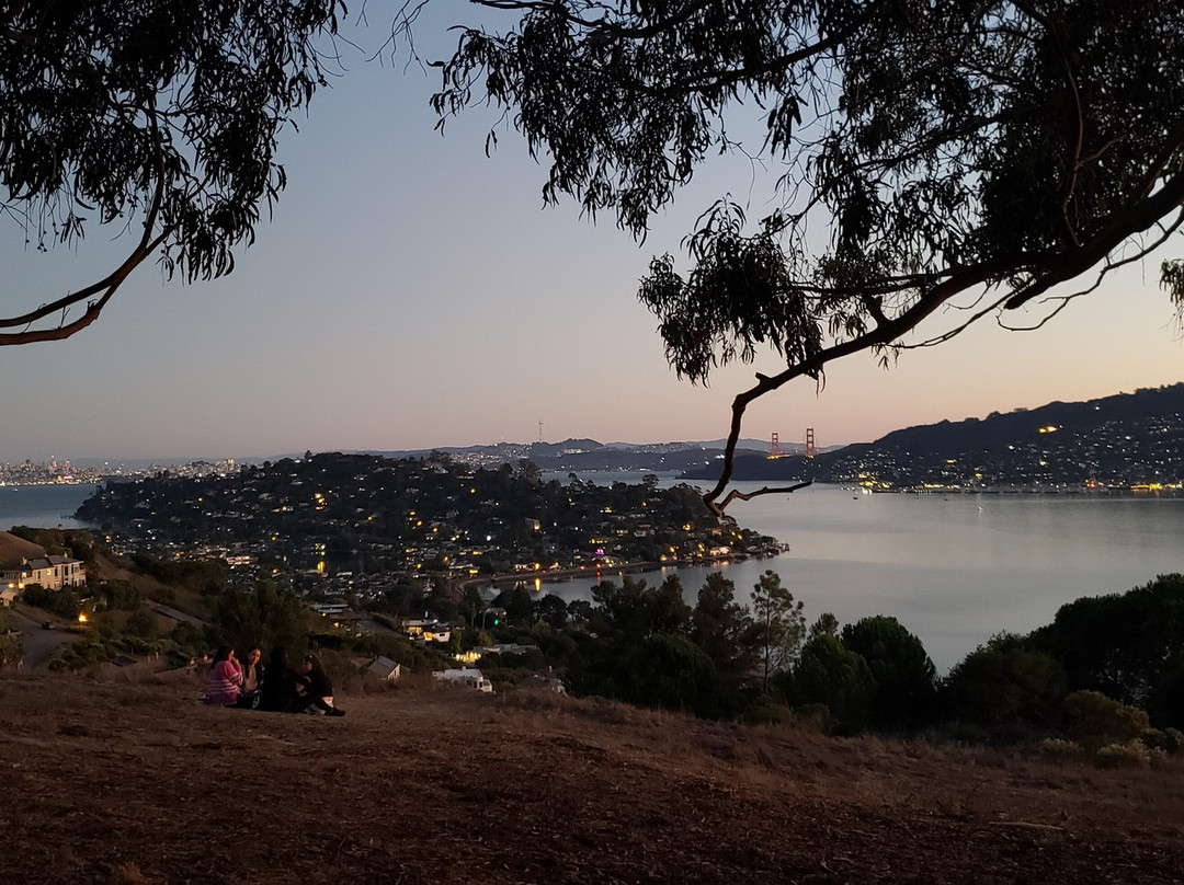 Hippie Tree-Tiburon必去景点