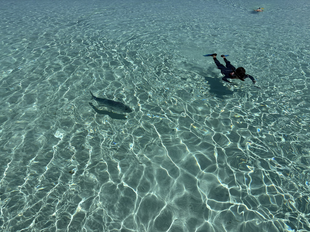 Kia Orana Cruises-Amuri必去景点