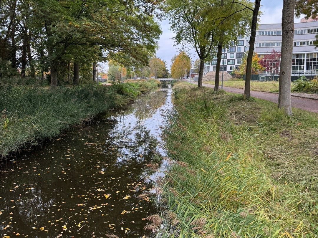Kinderboerderij De Boerenzwaluw-霍夫多普必去景点
