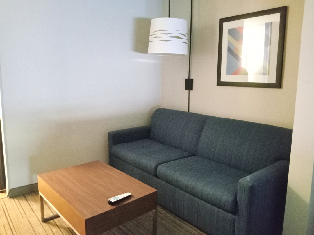 罗谢尔智选假日酒店主图