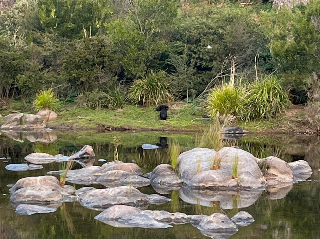 Currajong Retreat主图