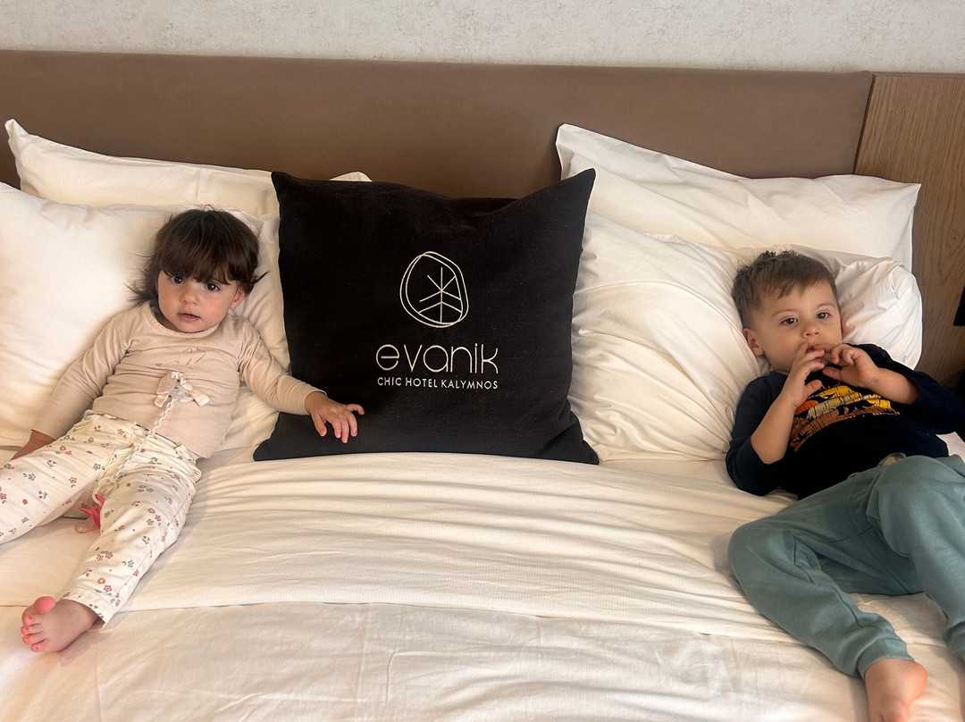Evanik Chic Hotel主图
