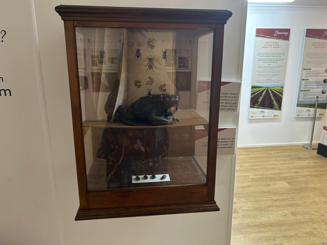 Fairymead House Sugar History Museum-邦德堡必去景点