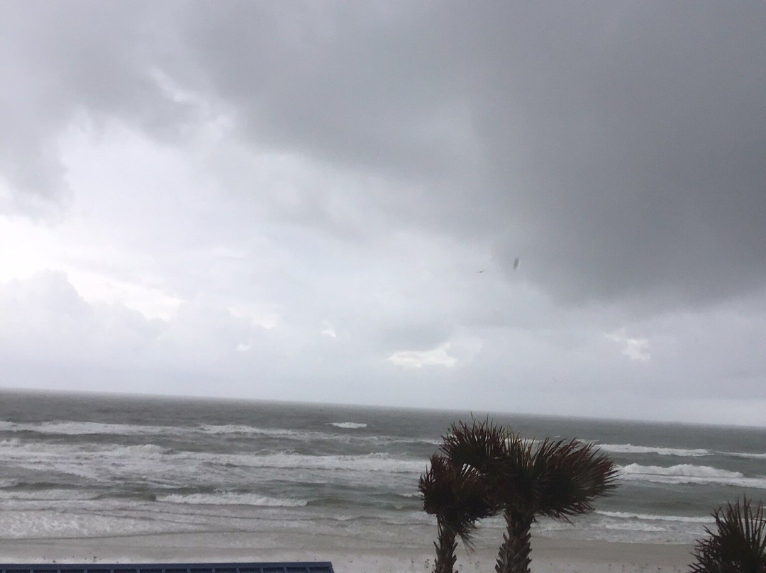 Bluegreen Dolphin Beach Club主图