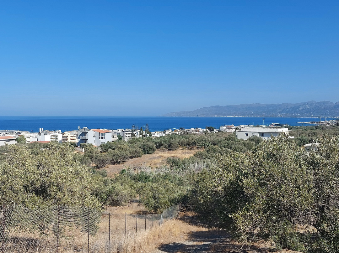 Sundance Apartments & Suites主图