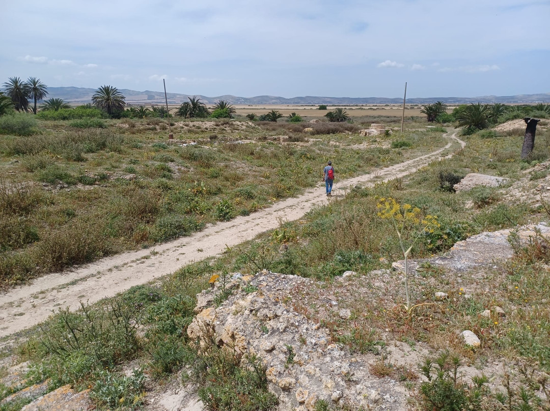 Utica-比塞大必去景点