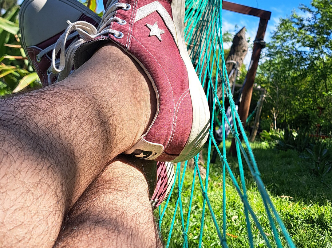 Senador Dupont主图