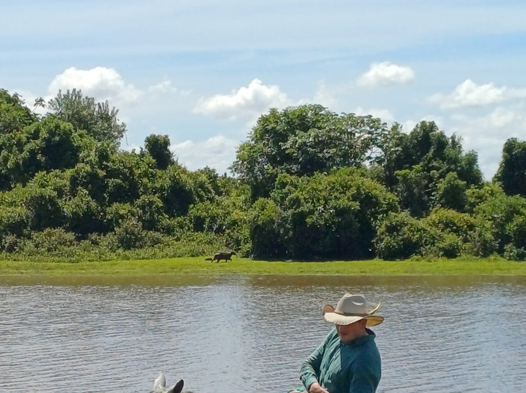 Cunaguaro Travel-Yopal必去景点