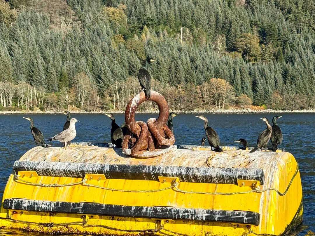 Loch Goil Cruisers-Lochgoilhead必去景点