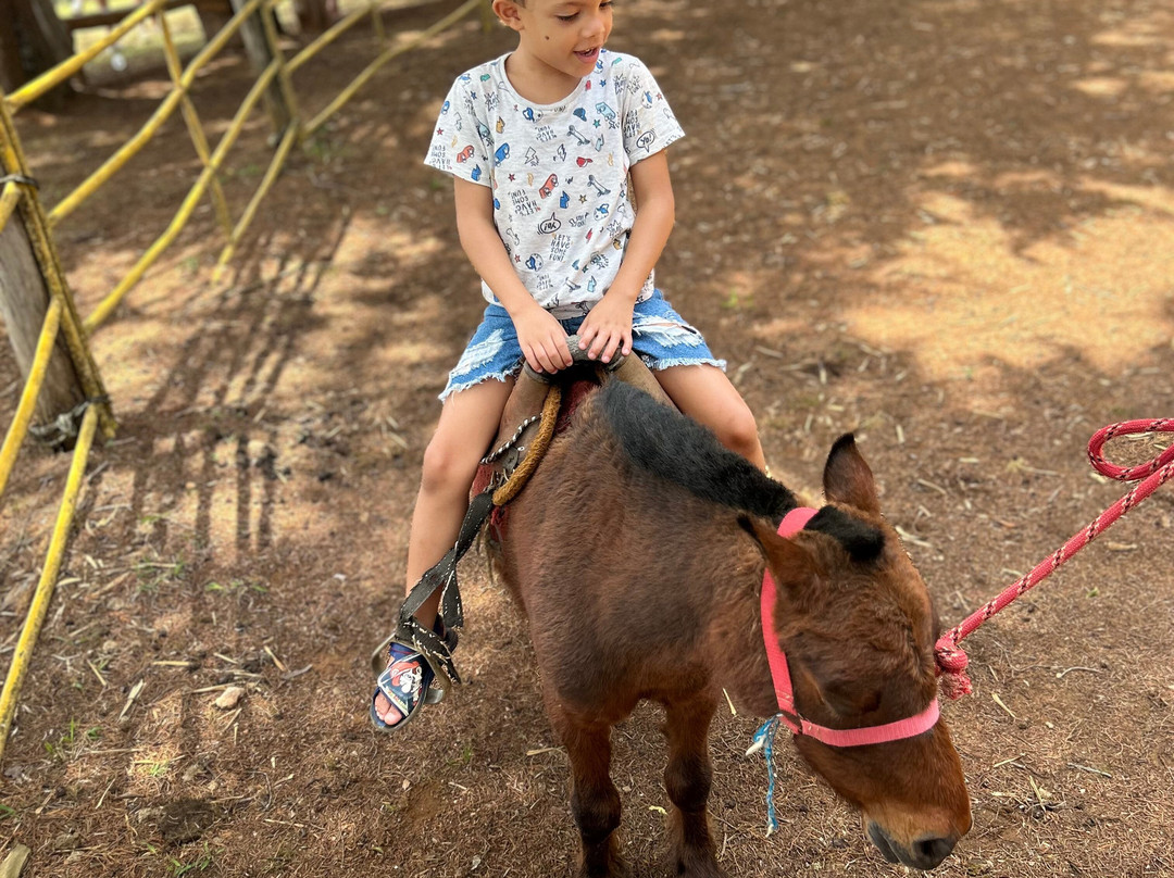 Estalagem Fazenda Lazer主图