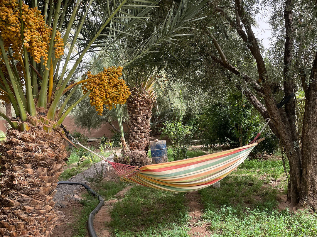 Yassine mazid-Skoura必去景点