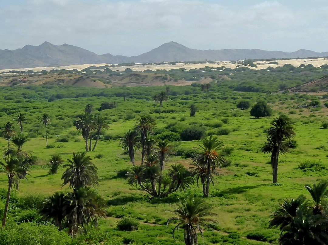 Baobab Tour Private Tours-萨尔雷必去景点