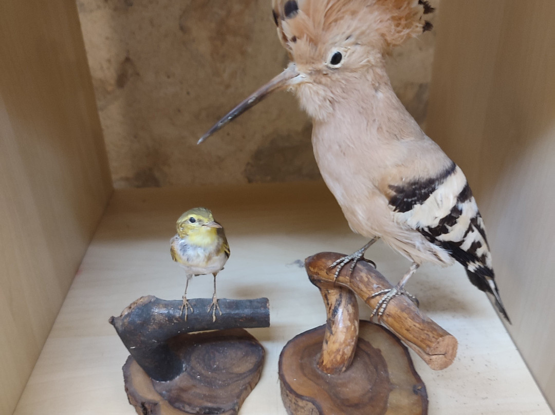 Castello Cantelmo-Pettorano sul Gizio必去景点