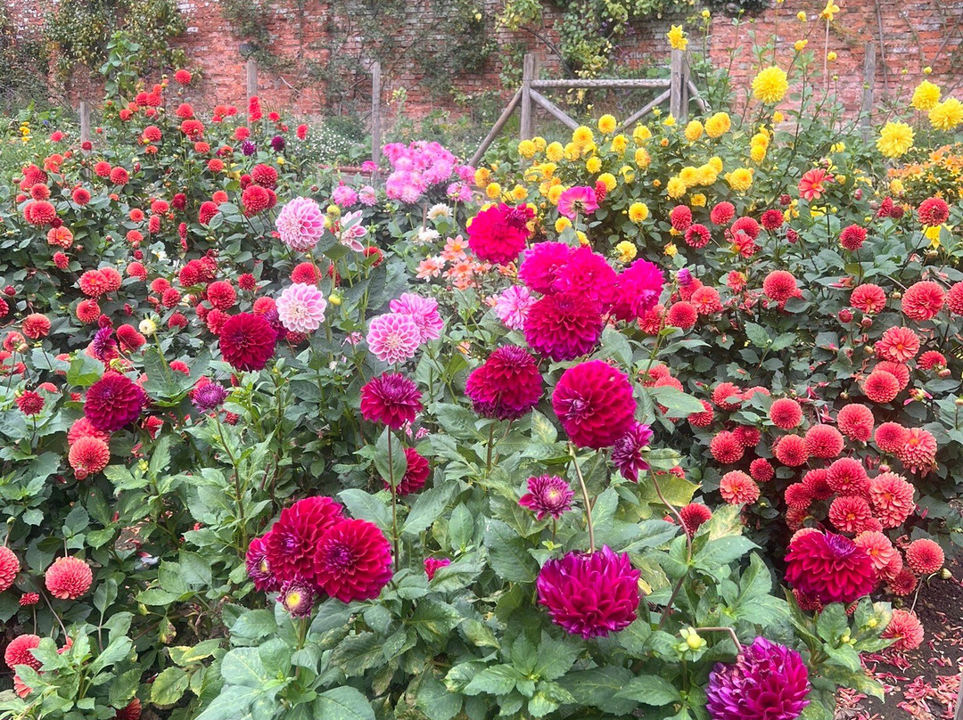 Cerney House Gardens-赛伦塞斯特必去景点