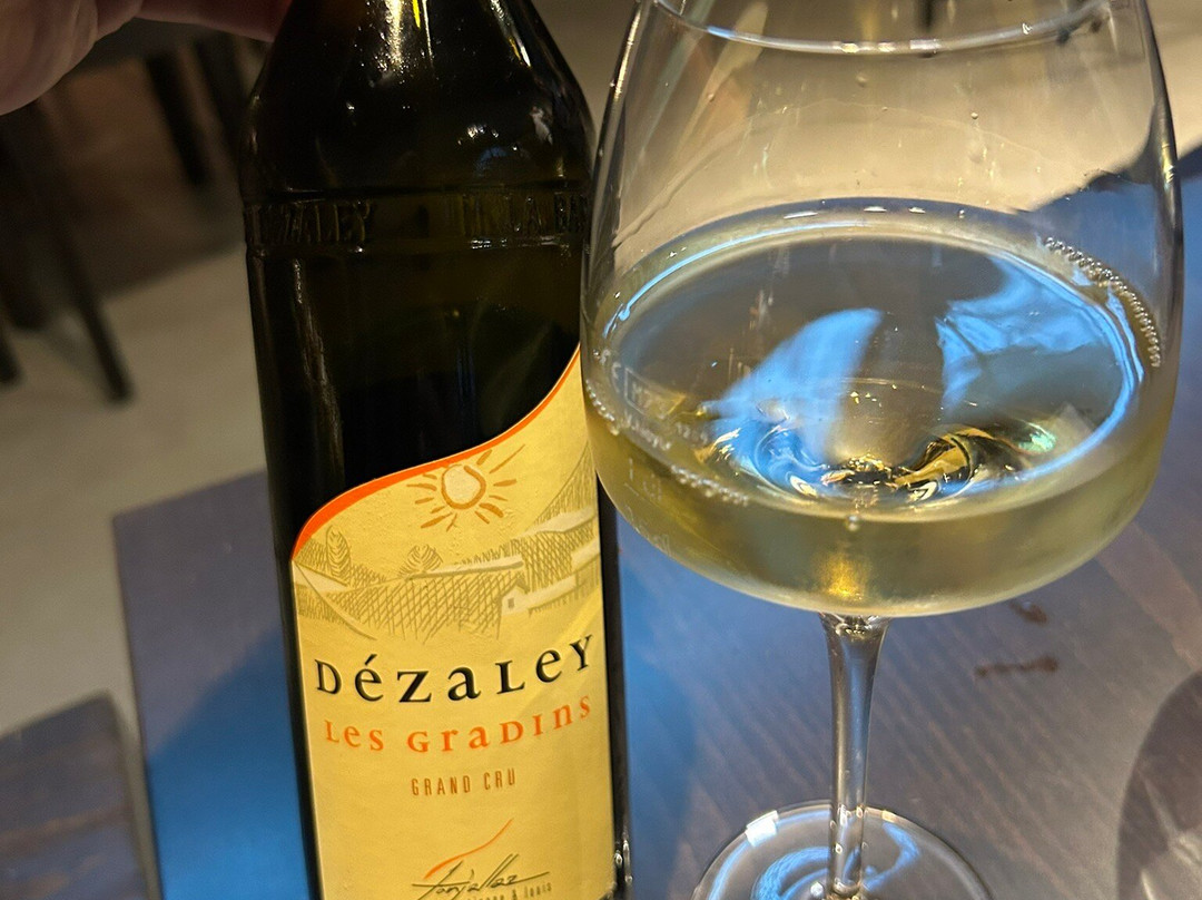 Lavaux Vinorama-Rivaz必去景点