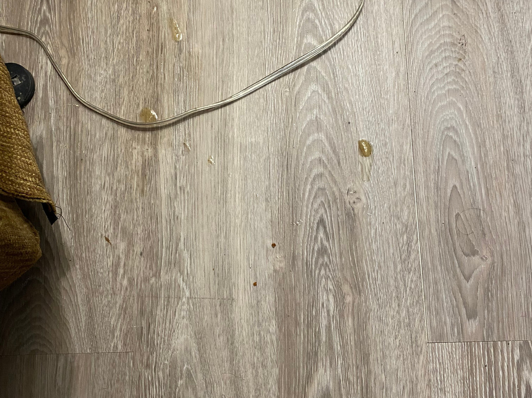 Brunson酒店住宿-Days Inn by Wyndham Hampton