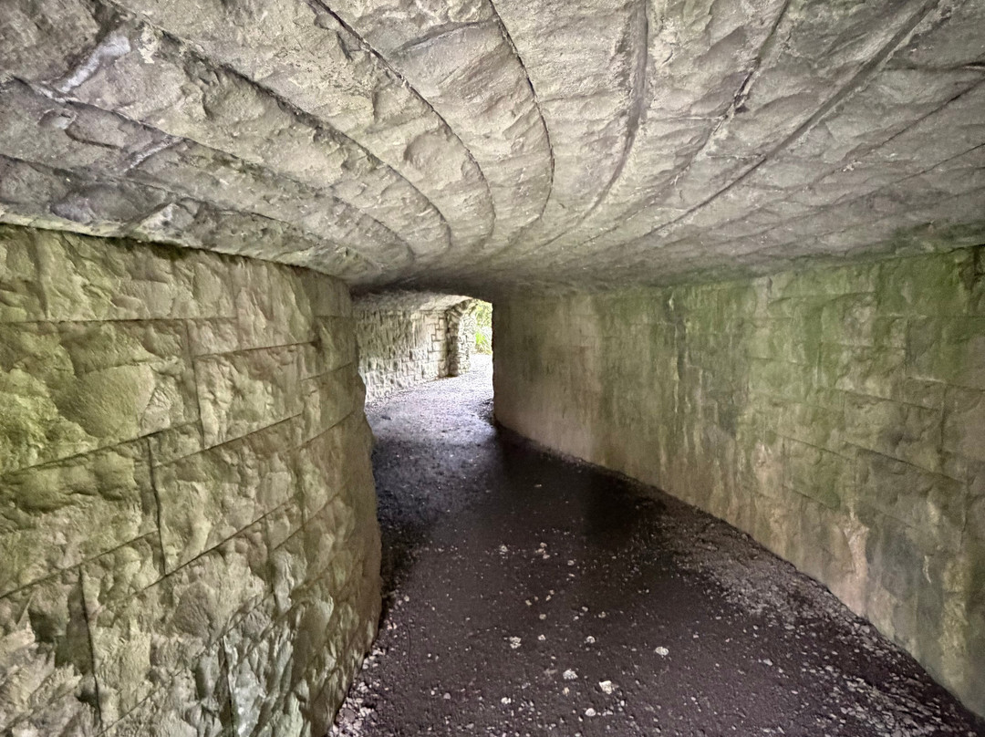 Small Escorted Tours Of Ireland-基尔肯尼必去景点
