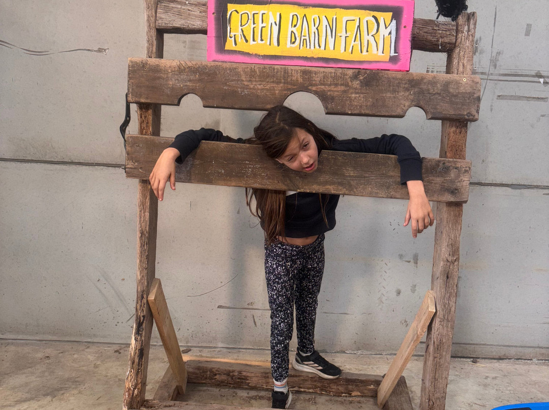 The Green Barn Farm Shop & Cafe-Benfleet必去景点