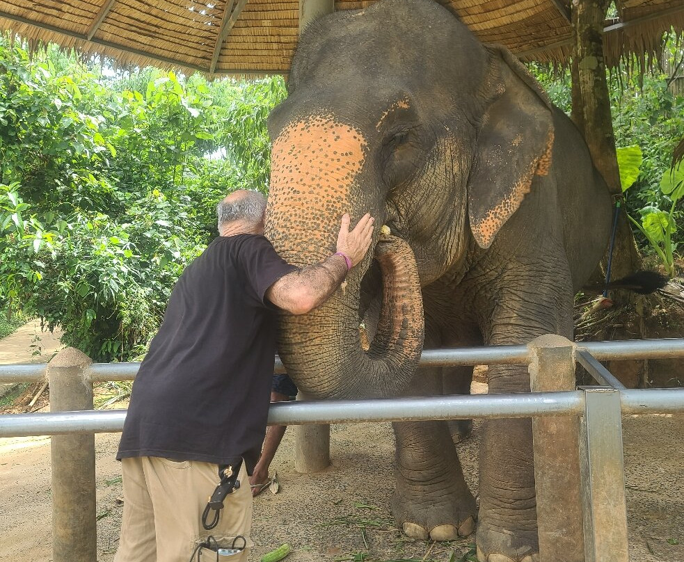 Phuket Elephant Care-奈通必去景点