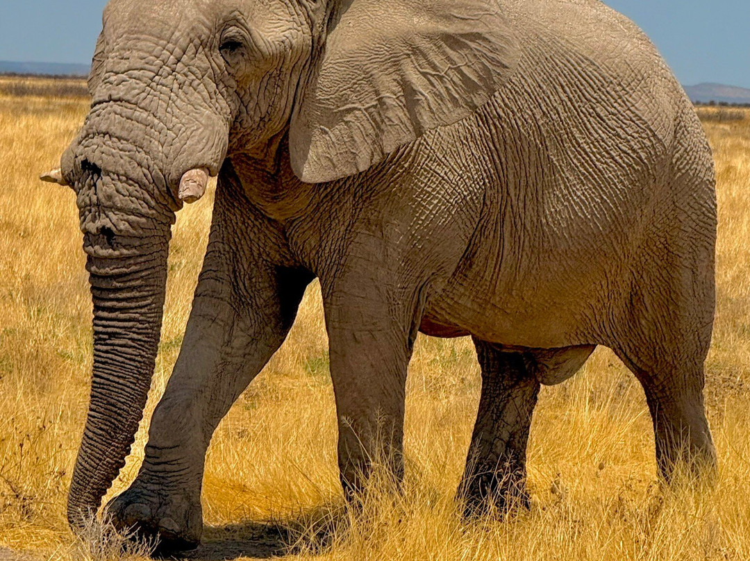 Epacha Game Lodge & Spa主图