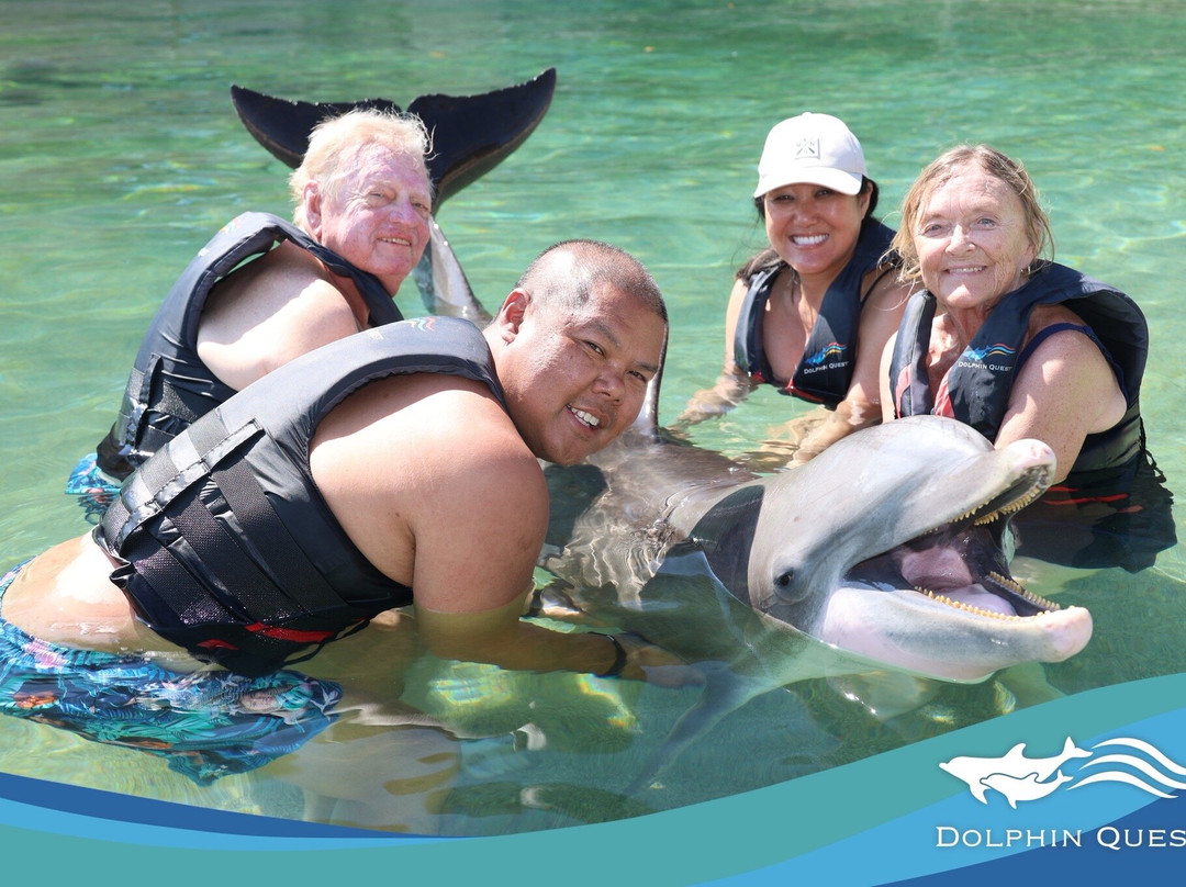 寻访海豚之旅-威可洛亚必去景点