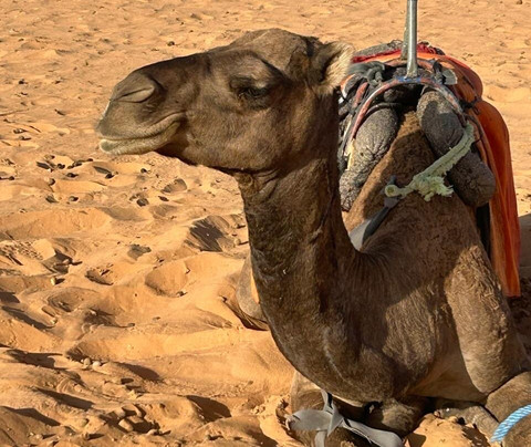 Marocco Avventura - Day Tours-马拉喀什必去景点