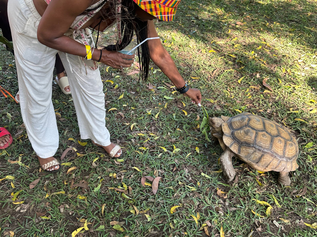 See Ghana Dmc-阿克拉必去景点