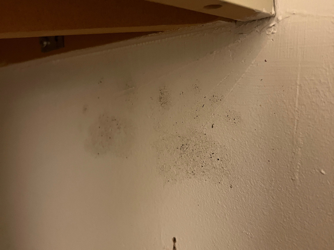 Blommenhof Hotell主图