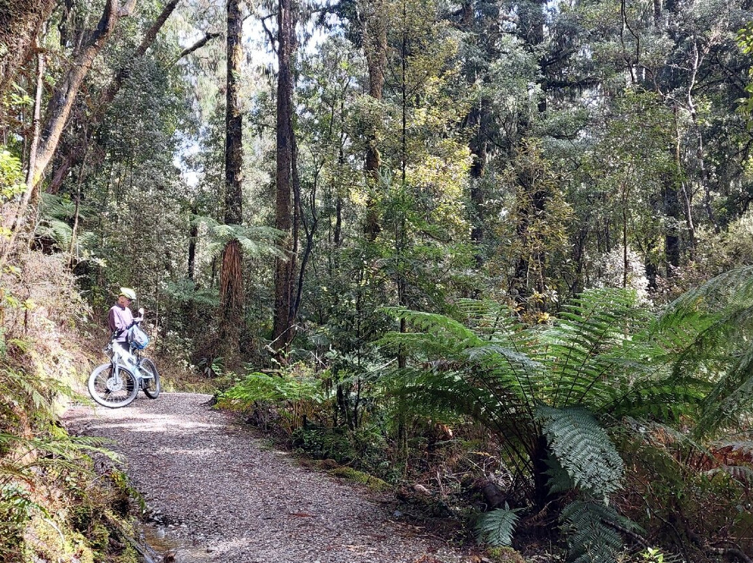 West Coast Wilderness Trail-霍基蒂卡必去景点