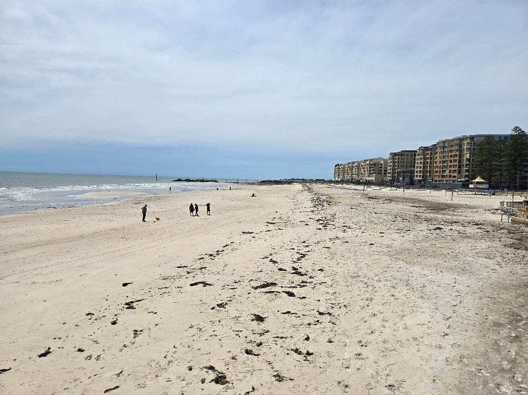 Glenelg Beach-格莱内尔格必去景点