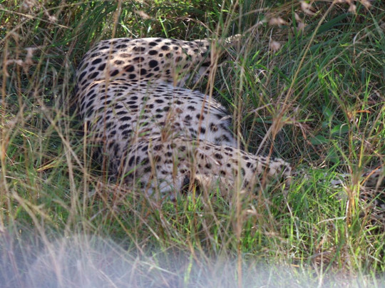Wild Springs Adventures-内罗毕必去景点