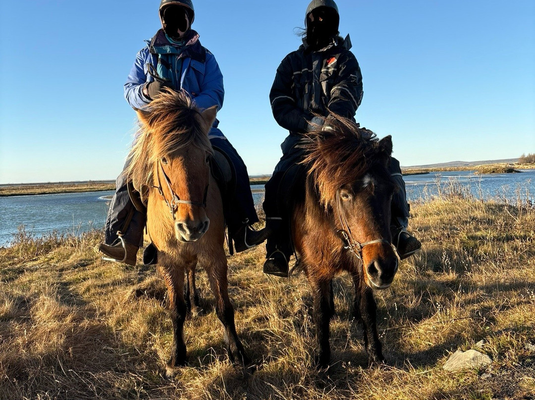 Eldhestar Volcano Horses-Olfus必去景点