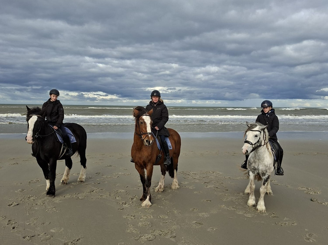 Rijstal Le Cheval-Ballum必去景点