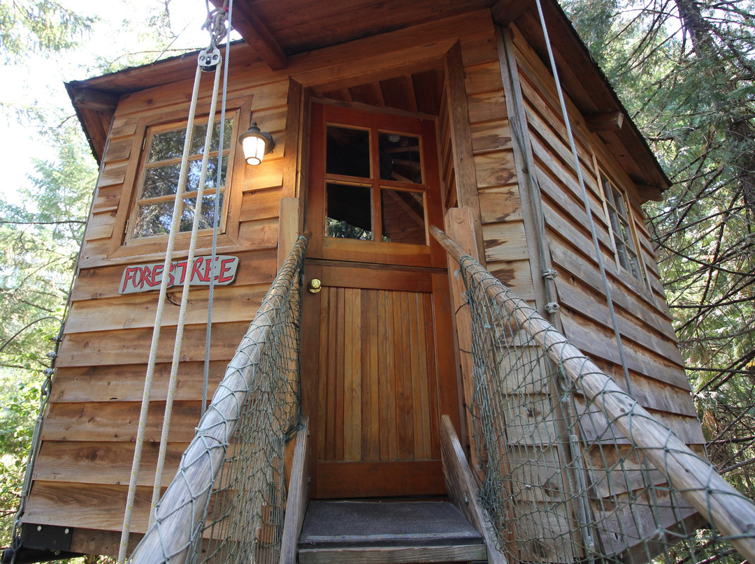 Out'n'About Treehouse-凯夫章克申必去景点