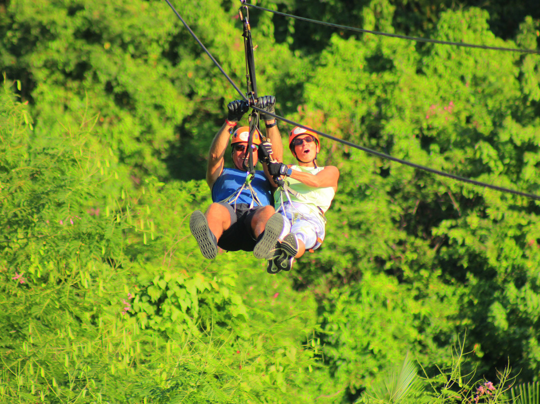 Vista Paraiso - Day Tours and Activities-Higuera Blanca必去景点