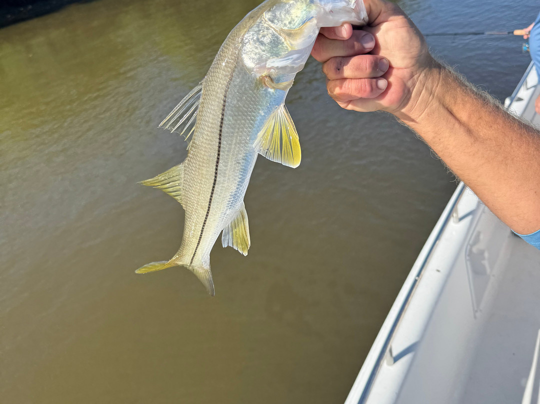 Everglades City Fishing Charters-大沼泽地必去景点