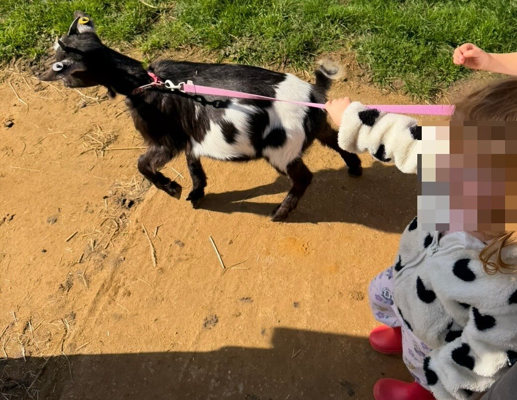 Milestone Ranch Country Park-唐克斯特必去景点