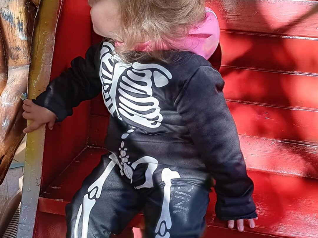 Serengeti-park Hodenhagen-Hodenhagen必去景点