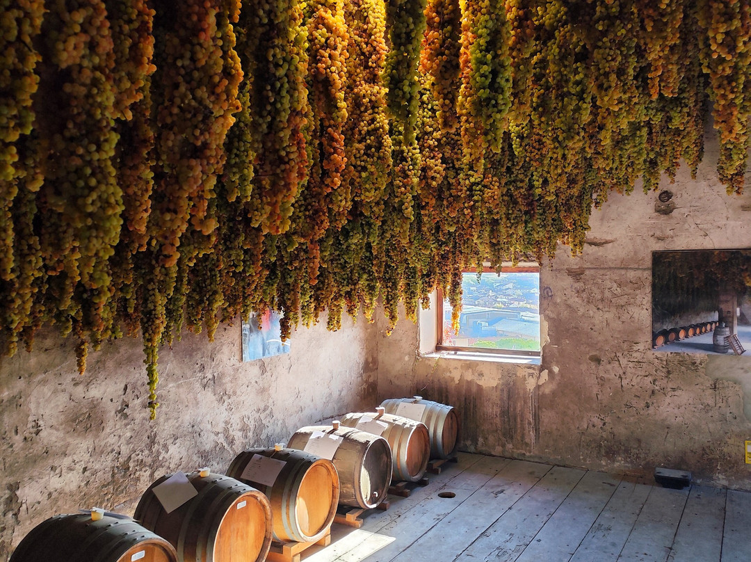 Cantina Giovanni Menti-Gambellara必去景点