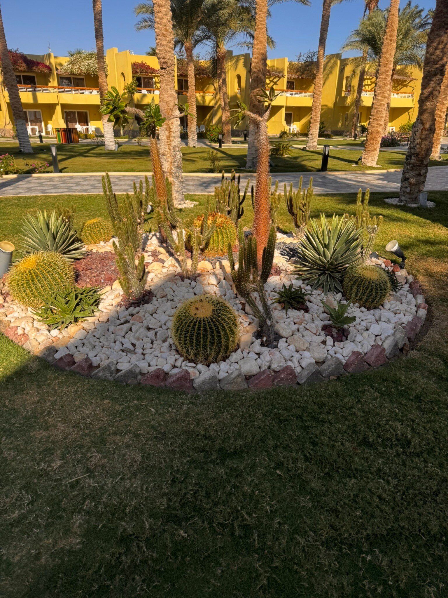 Palm Beach Resort-官方