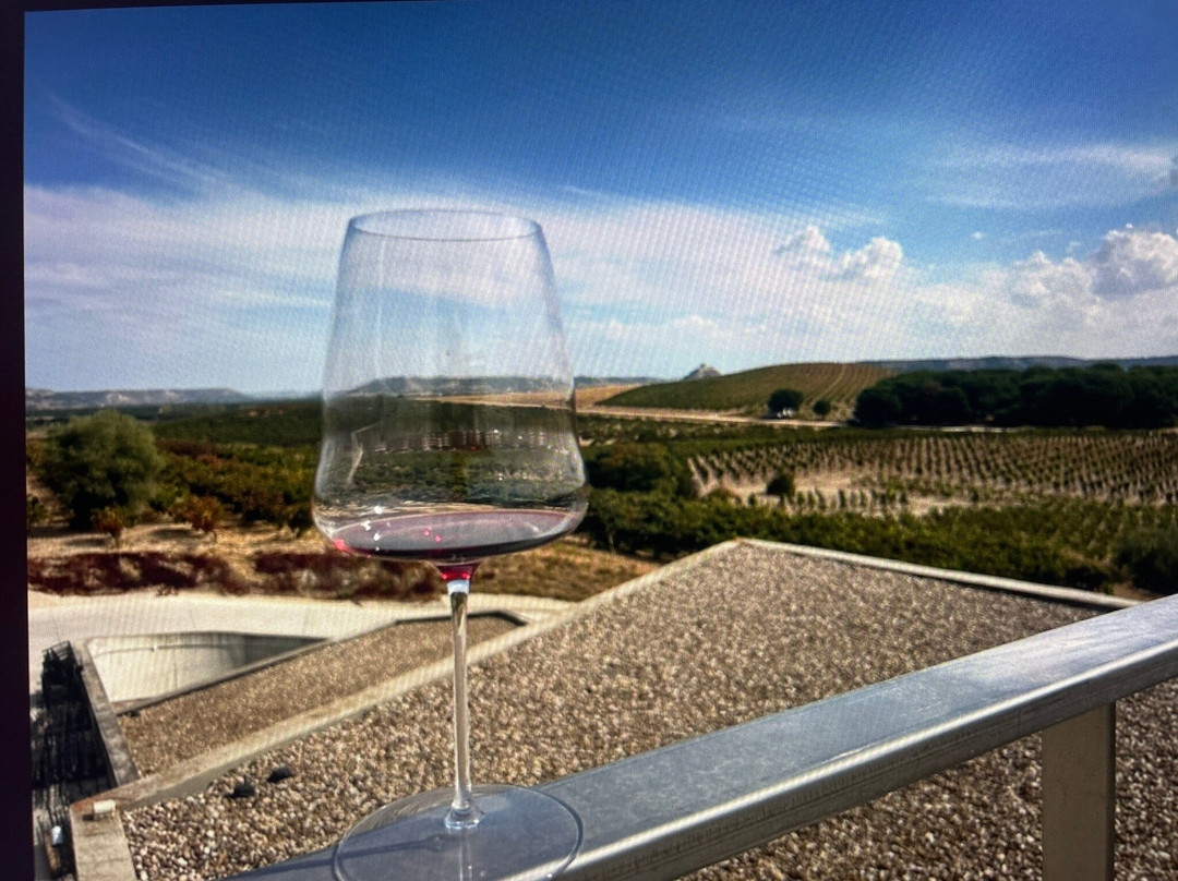 Bodega Tr3smano-Padilla de Duero必去景点