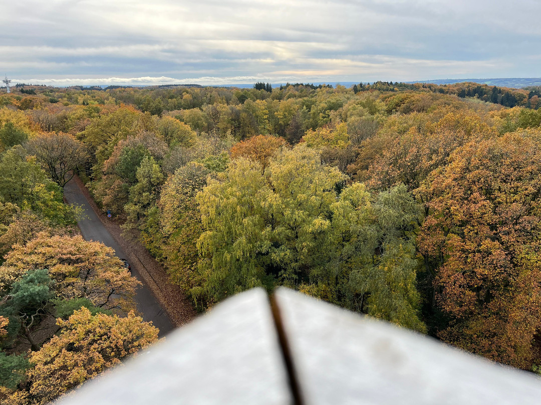 Wilhelminatoren-Vaals必去景点