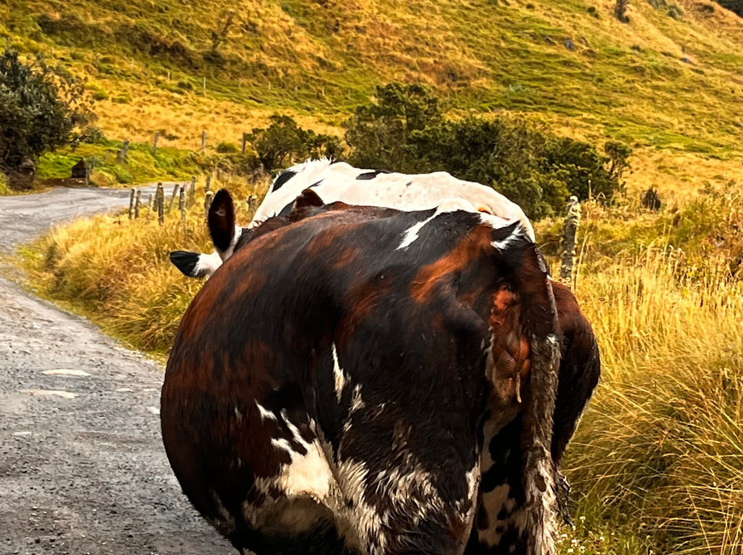 Laguna Negra Parque Reserva Natural-Manizales必去景点