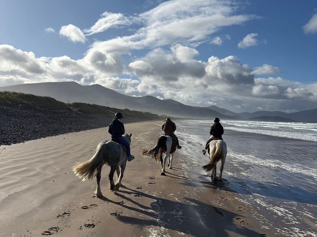 O'Connor Trekking-Castlegregory必去景点