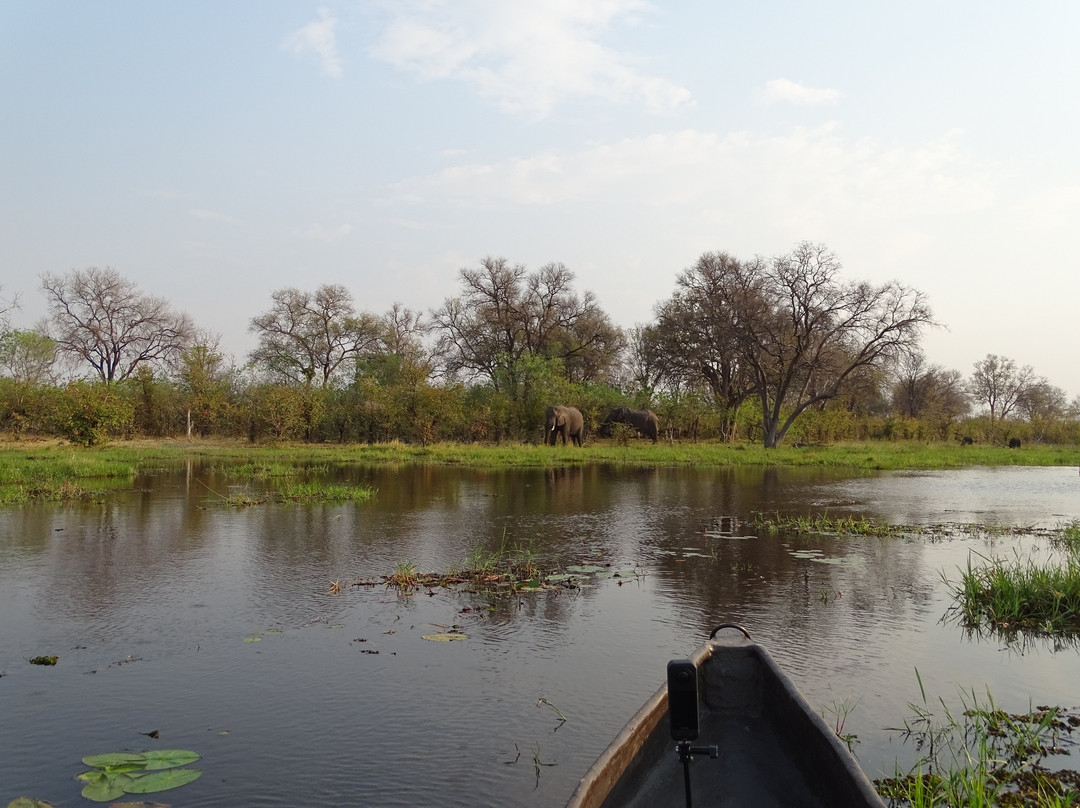 Spoor Tracker Adventures-null必去景点