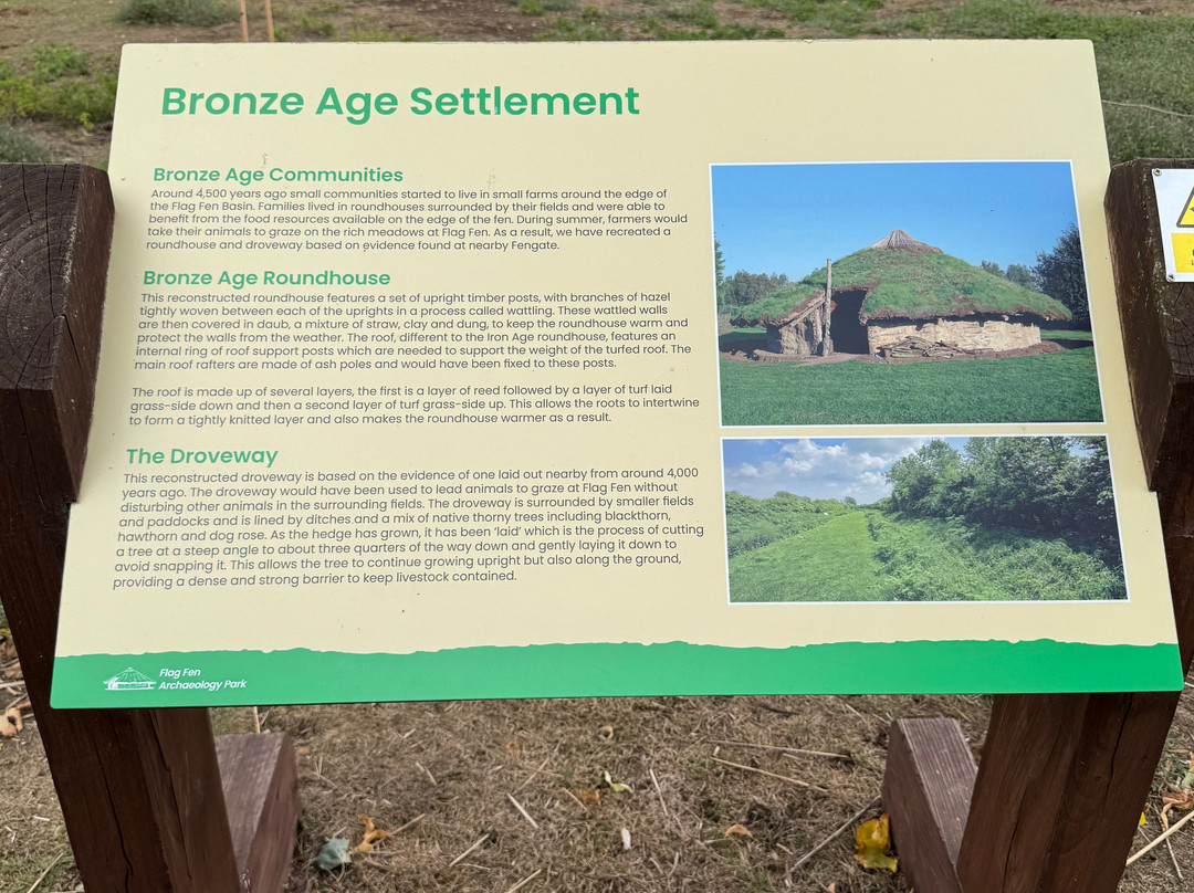 Flag Fen-彼得伯勒必去景点