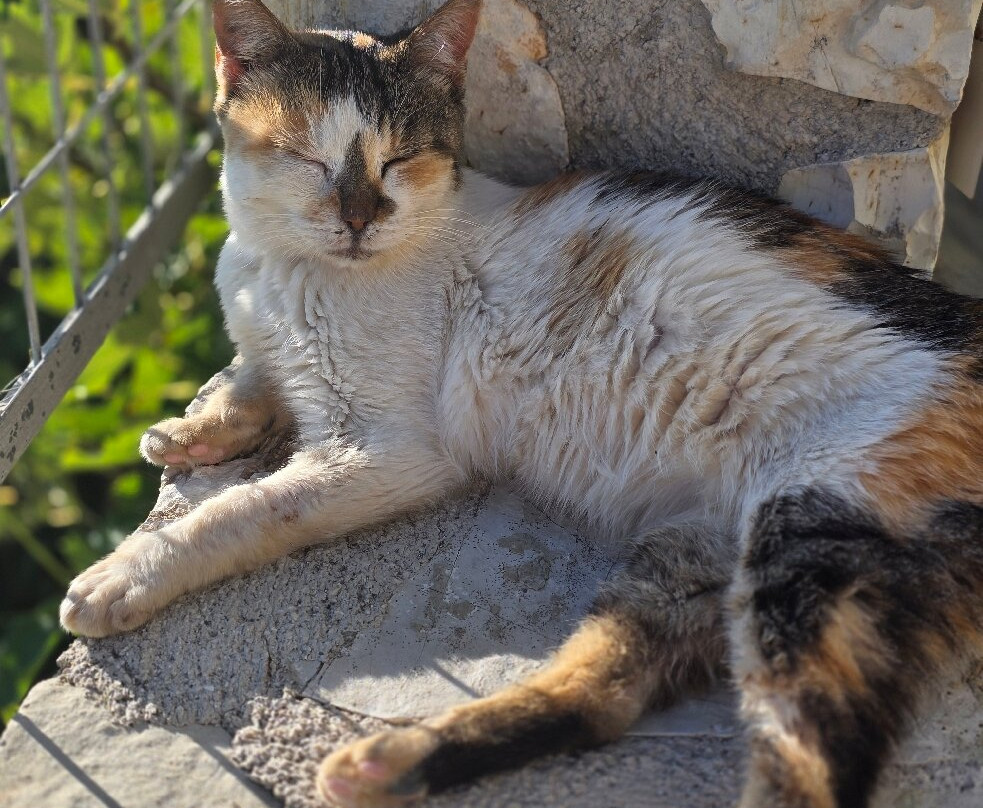 Sivota Retreat - powered by Playitas主图